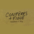 CONIF-FIGU