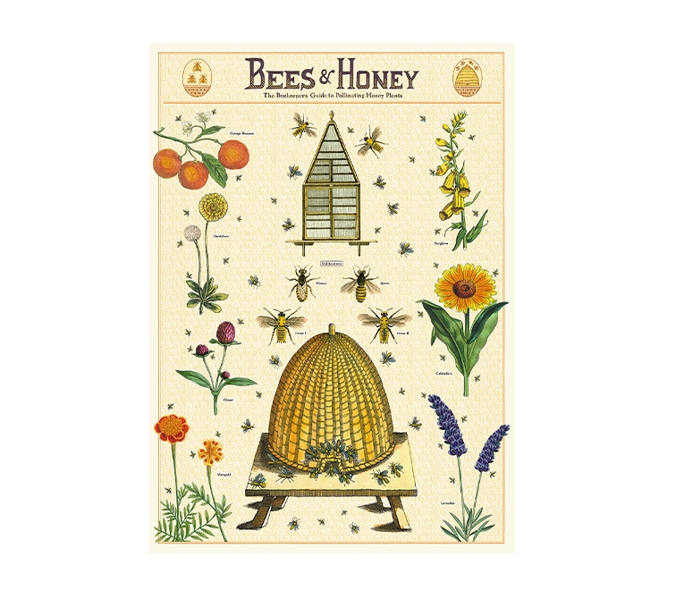 BEES HONEY