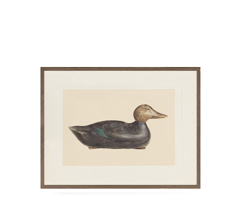 DECOY