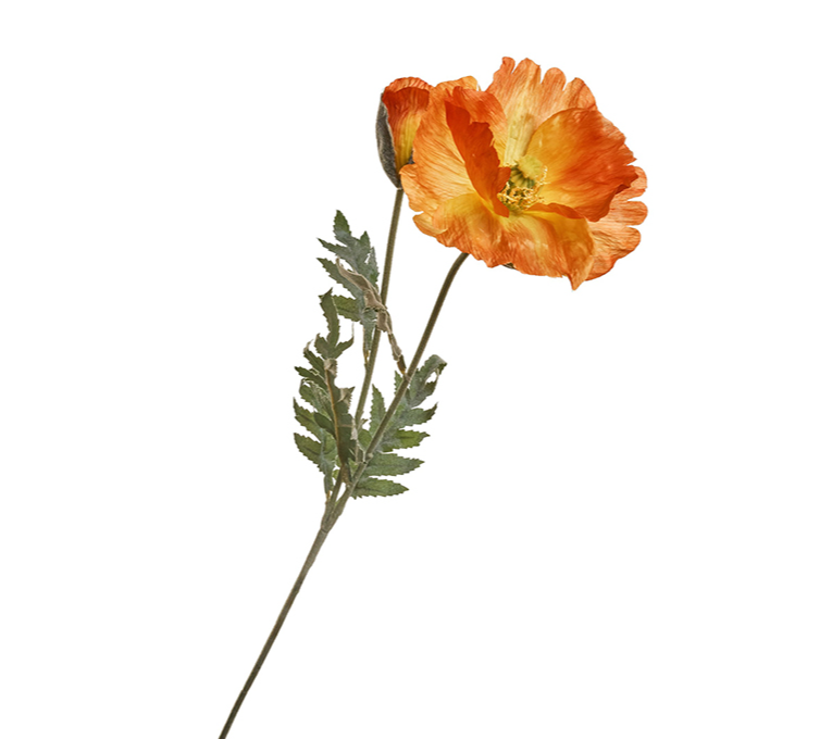 POPPY