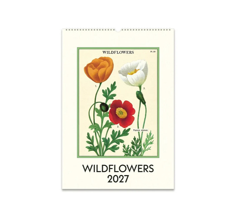 WILDFLOWERS