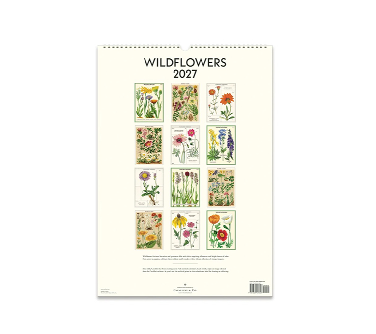 WILDFLOWERS