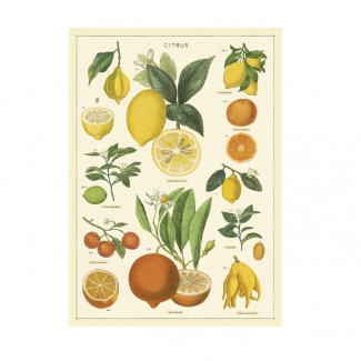 CITRUS
