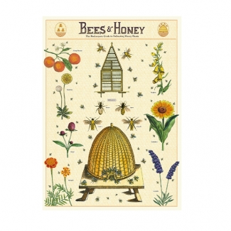 BEES HONEY