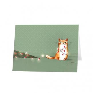 CHAT AU SAPIN