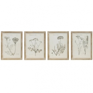 BOTANIST