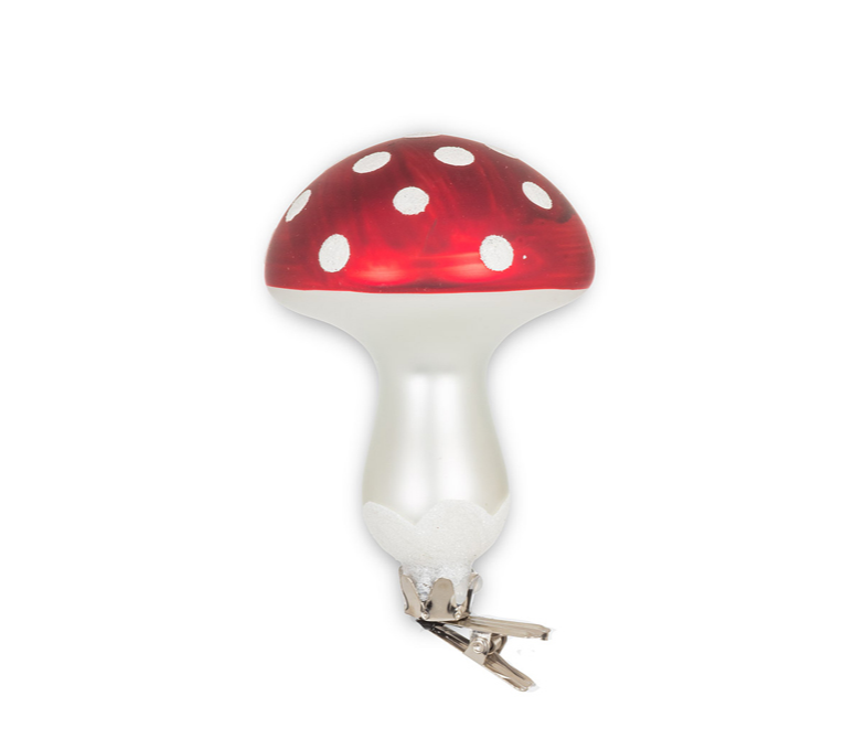  CHAMPIGNON