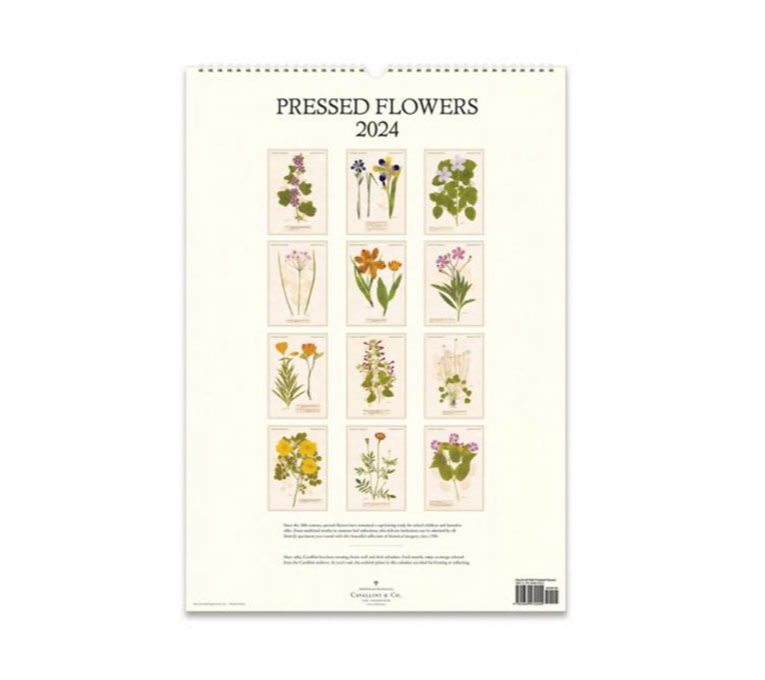 PRESSED FLOWERS