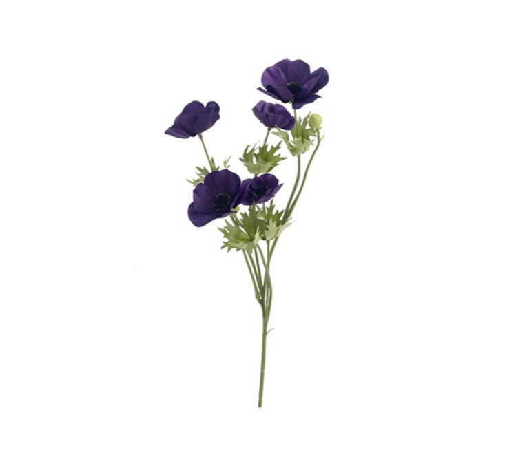 Anemones 