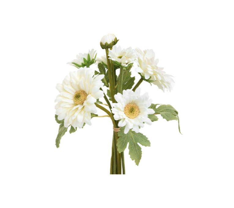 CHRYSANTHÈME