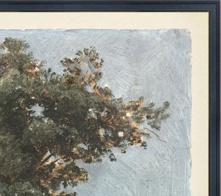 TREE STUDY