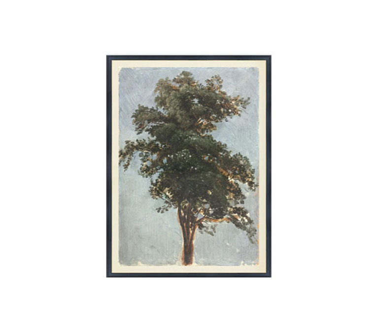 TREE STUDY