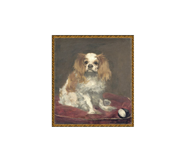 KING CHARLES SPANIEL