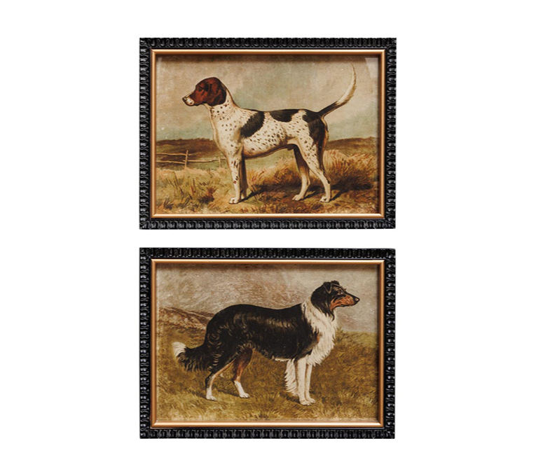 CHIEN DE CHASSE