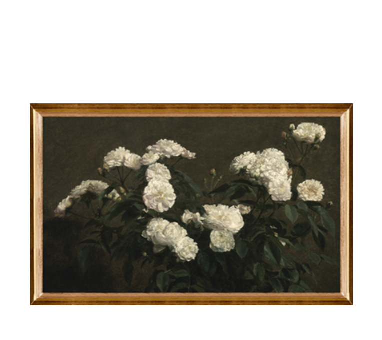 STILL LIFE WHITE ROSES