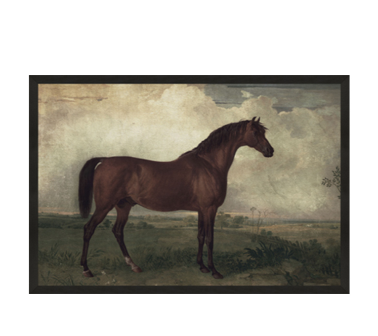 VINTAGE HORSE II