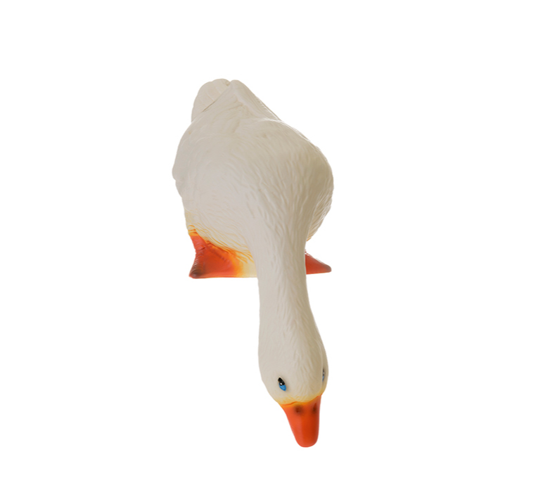 CANARD PENCHÉ