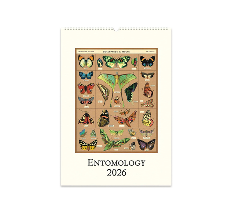 ENTOMOLOGY