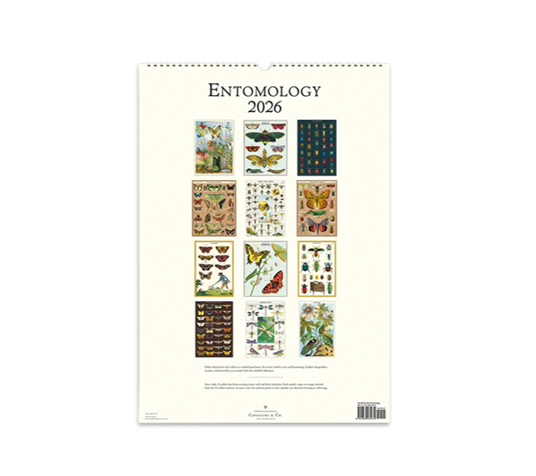 ENTOMOLOGY