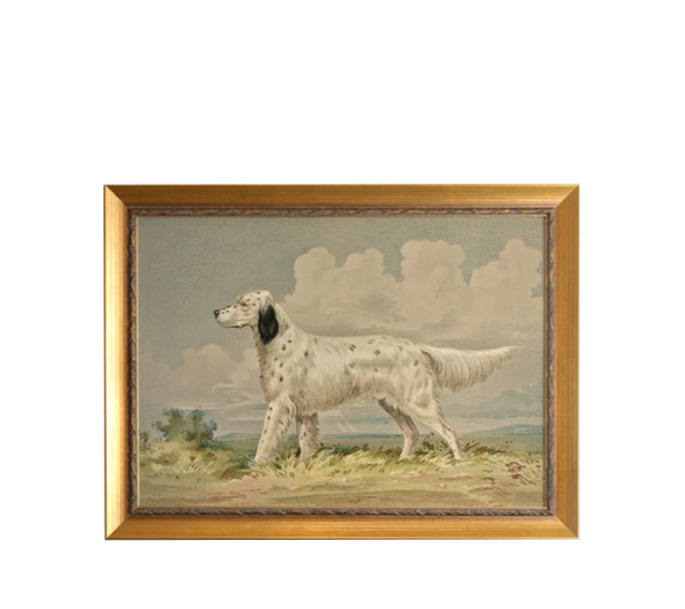FAITHFUL COMPANION
