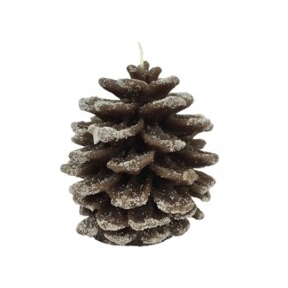 PINECONE