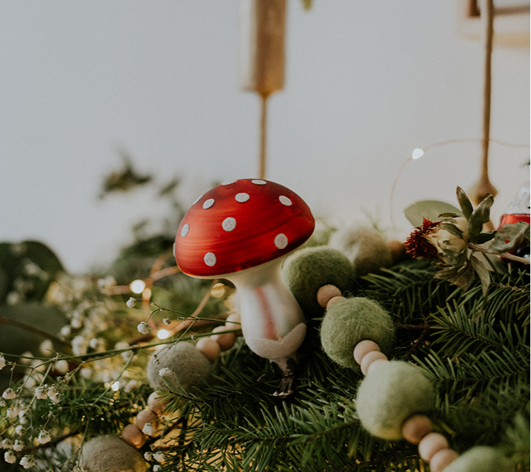  CHAMPIGNON